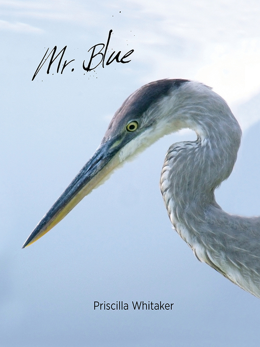 Title details for Mr. Blue by Priscilla Whitaker - Available